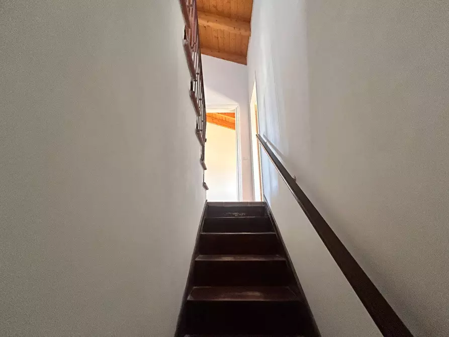 Immagine 31 di Villa in vendita  in via butterfly a Viareggio