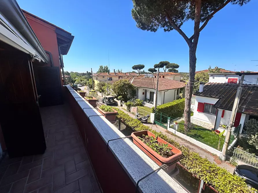 Immagine 38 di Villa in vendita  in via butterfly a Viareggio