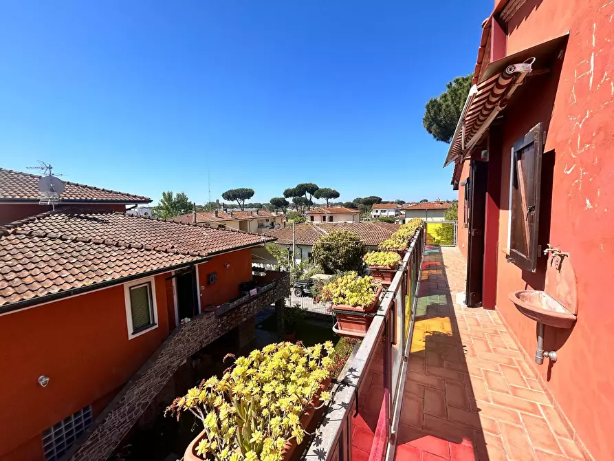 Immagine 49 di Villa in vendita  in via butterfly a Viareggio