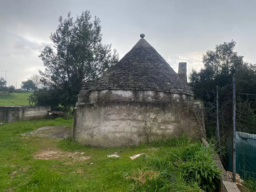 Immagine 2 di Terreno agricolo in vendita  in zona paretone snc a Martina Franca