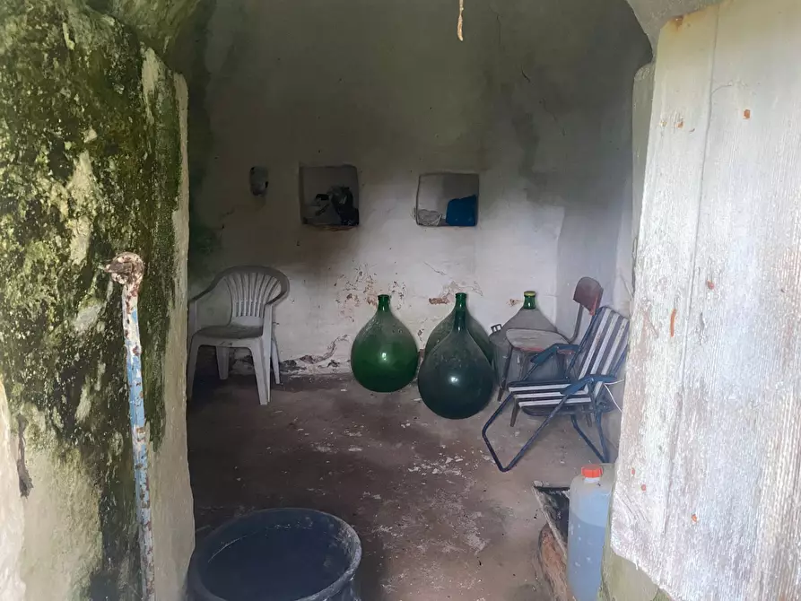Immagine 3 di Terreno agricolo in vendita  in zona paretone snc a Martina Franca