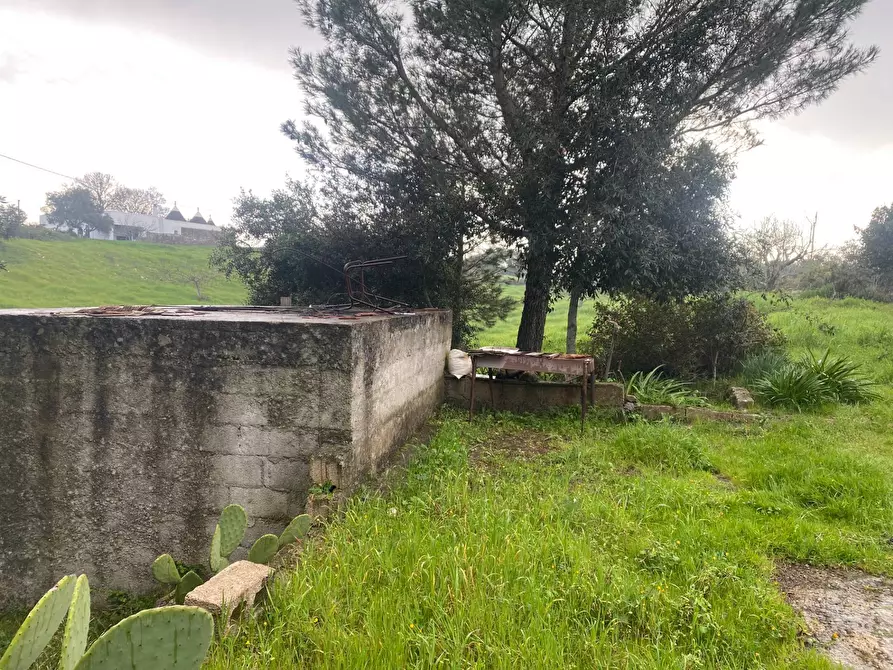Immagine 4 di Terreno agricolo in vendita  in zona paretone snc a Martina Franca