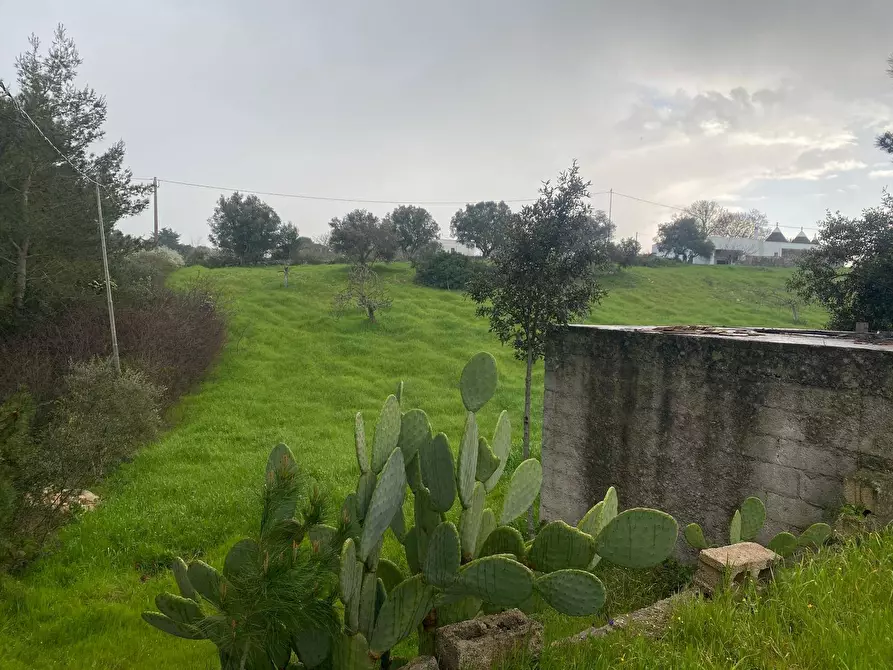 Immagine 5 di Terreno agricolo in vendita  in zona paretone snc a Martina Franca
