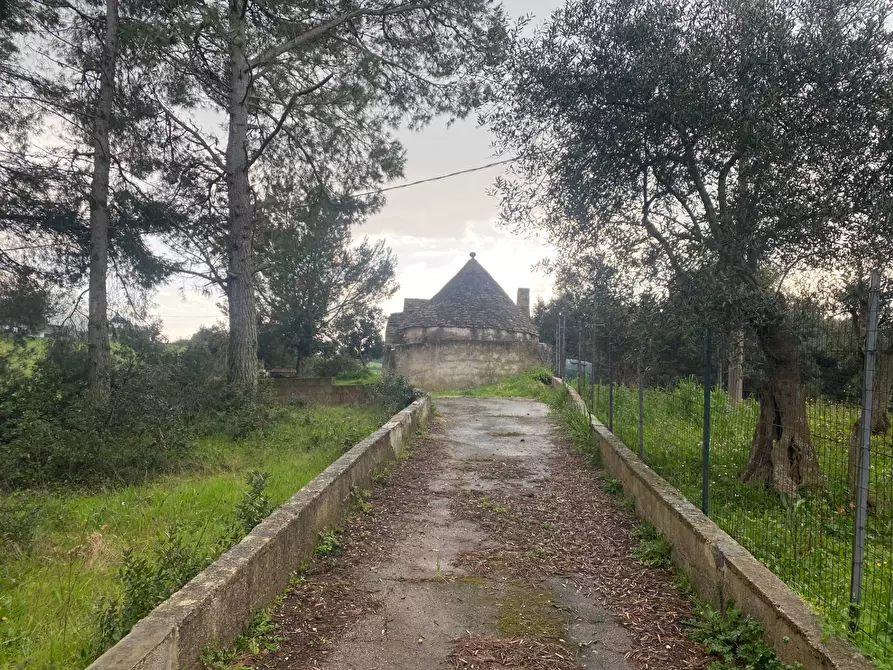Immagine 6 di Terreno agricolo in vendita  in zona paretone snc a Martina Franca