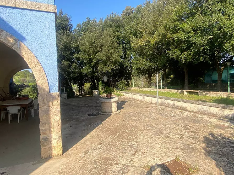 Immagine 9 di Rustico / casale in vendita  in contrada montemichele snc a Cisternino
