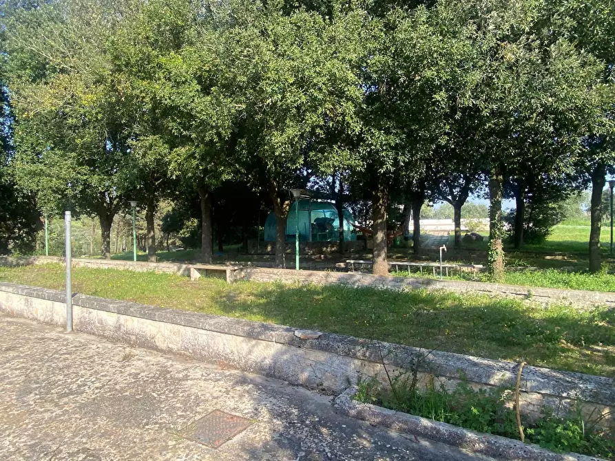 Immagine 11 di Rustico / casale in vendita  in contrada montemichele snc a Cisternino
