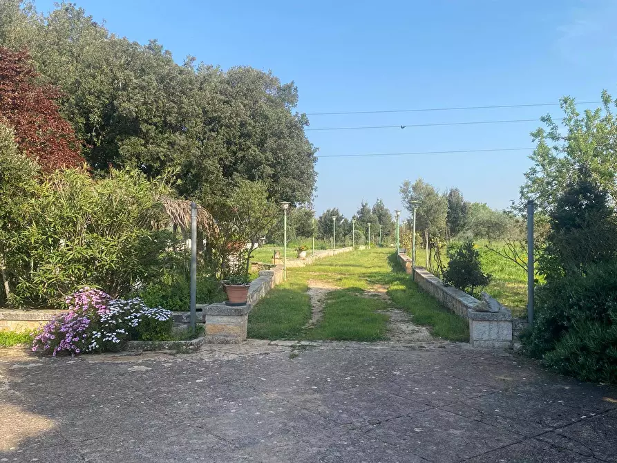 Immagine 12 di Rustico / casale in vendita  in contrada montemichele snc a Cisternino