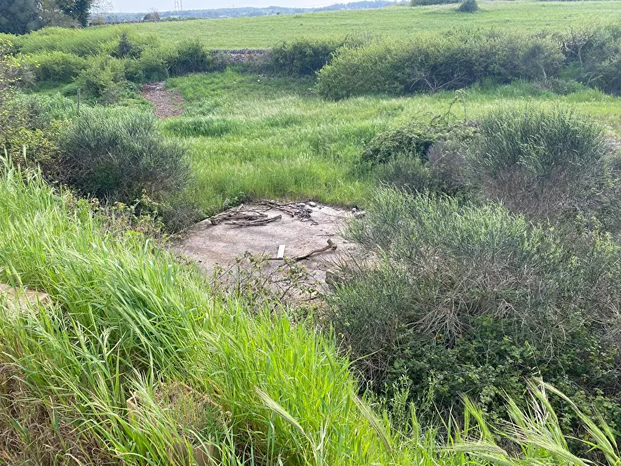 Immagine 5 di Terreno agricolo in vendita  in Strada Porcile Palesi snc a Martina Franca