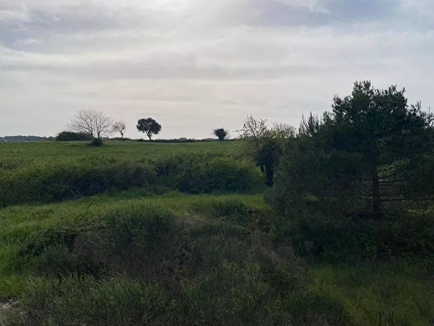 Immagine 1 di Terreno agricolo in vendita  in Strada Porcile Palesi snc a Martina Franca