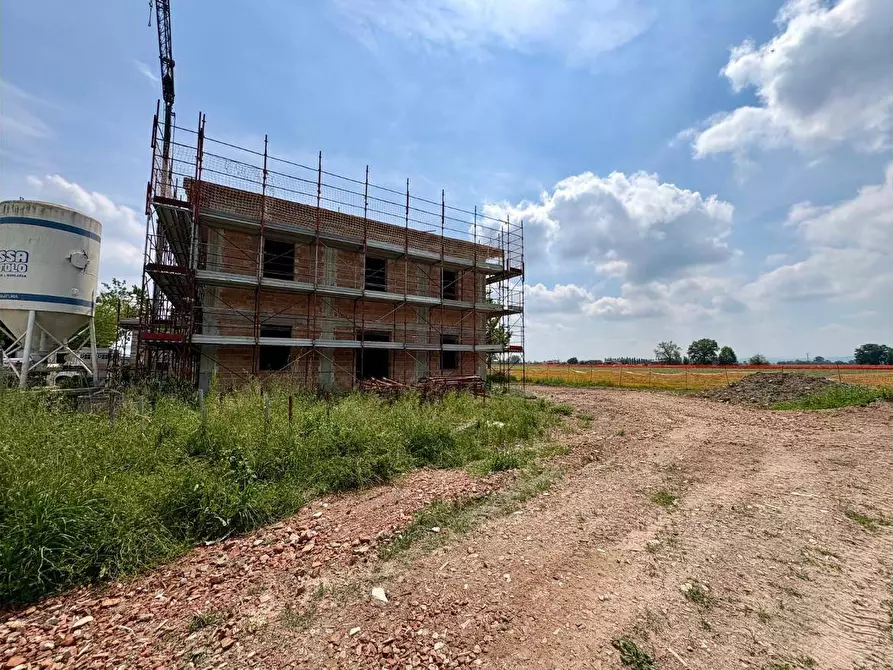 Immagine 16 di Villa in vendita  in via sabbioni 7 a Medicina