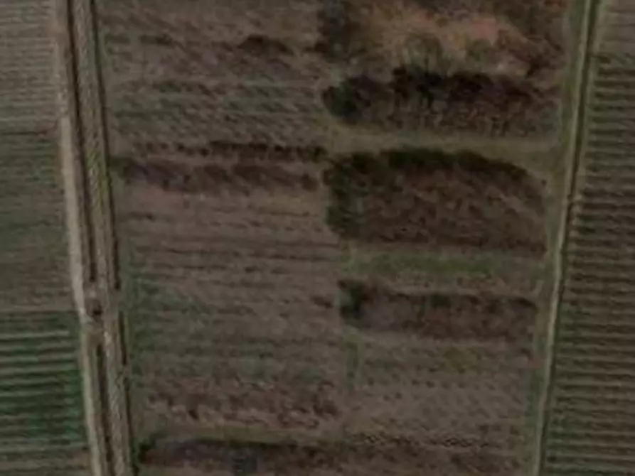 Immagine 5 di Terreno agricolo in vendita  a Belfiore