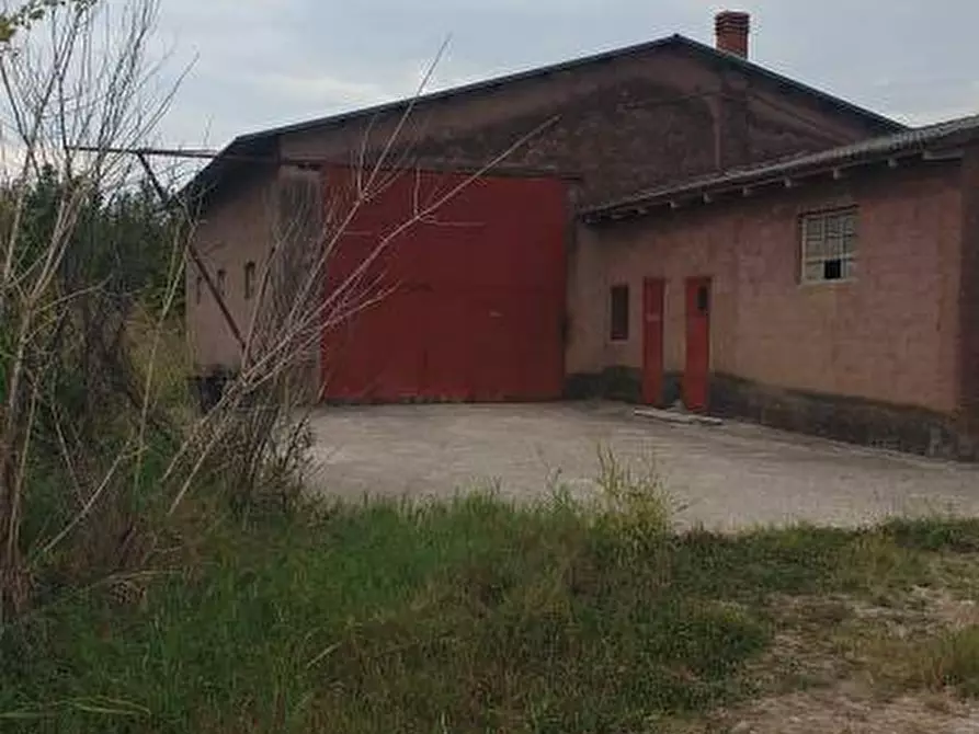 Immagine 4 di Terreno agricolo in vendita  a Belfiore