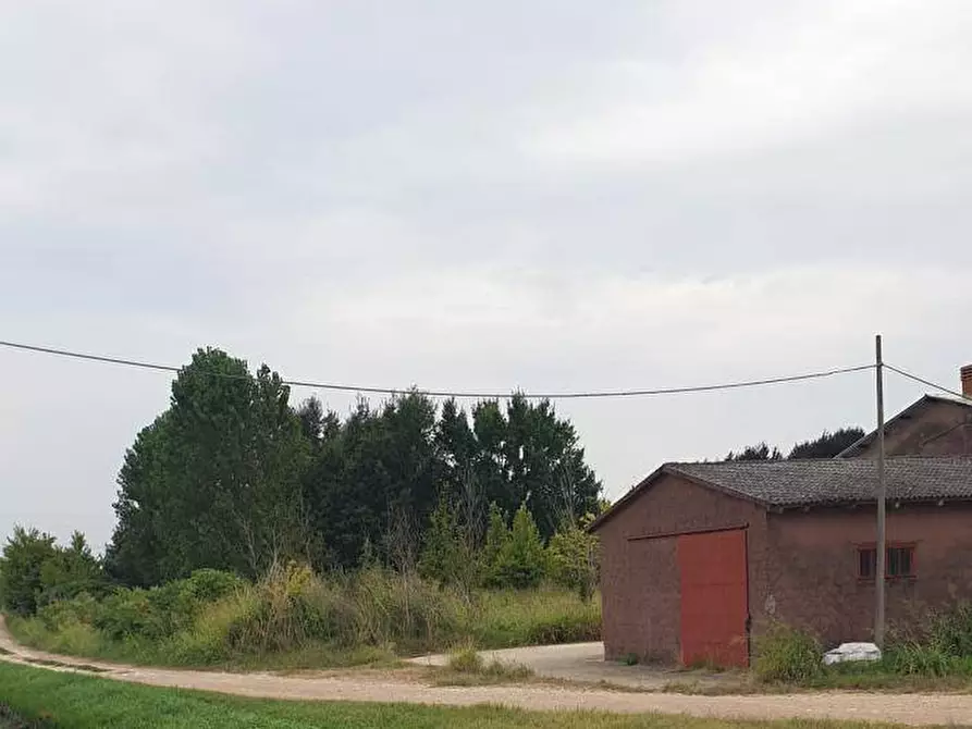 Immagine 2 di Terreno agricolo in vendita  a Belfiore