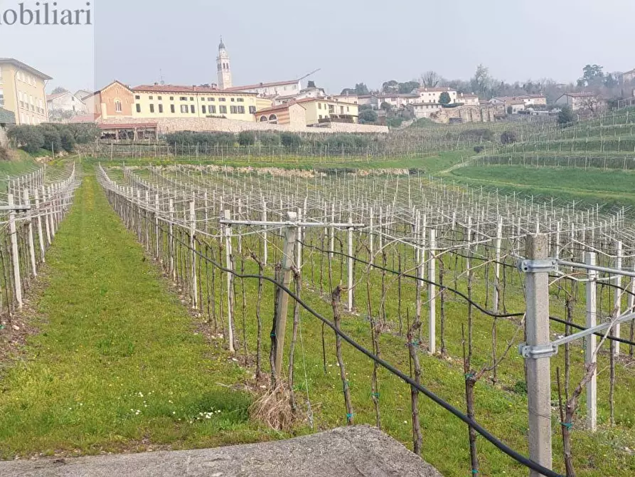 Immagine 2 di Terreno agricolo in vendita  a Colognola Ai Colli