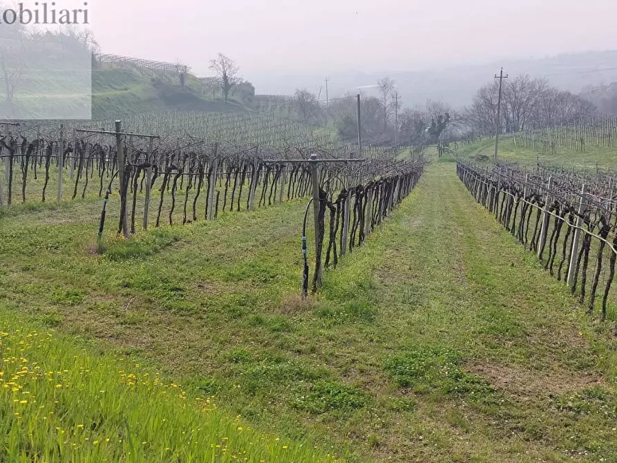 Immagine 7 di Terreno agricolo in vendita  a Colognola Ai Colli