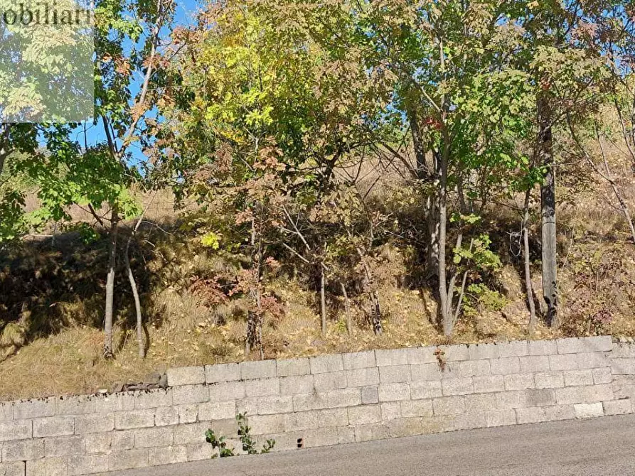 Immagine 1 di Terreno agricolo in vendita  a Vestenanova