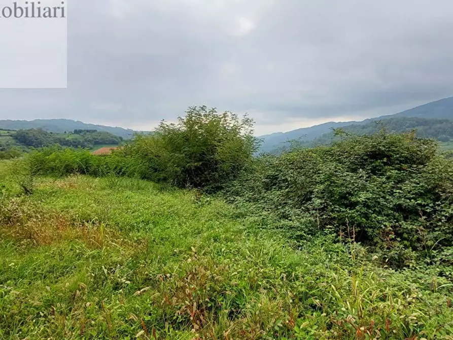Immagine 2 di Terreno residenziale in vendita  a Vestenanova