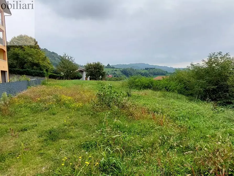 Immagine 3 di Terreno residenziale in vendita  a Vestenanova