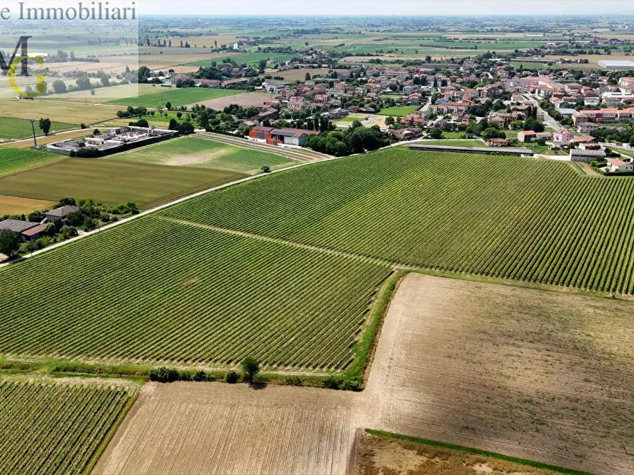 Immagine 2 di Terreno agricolo in vendita  a Poiana Maggiore