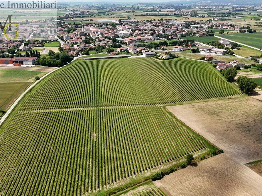 Immagine 3 di Terreno agricolo in vendita  a Poiana Maggiore