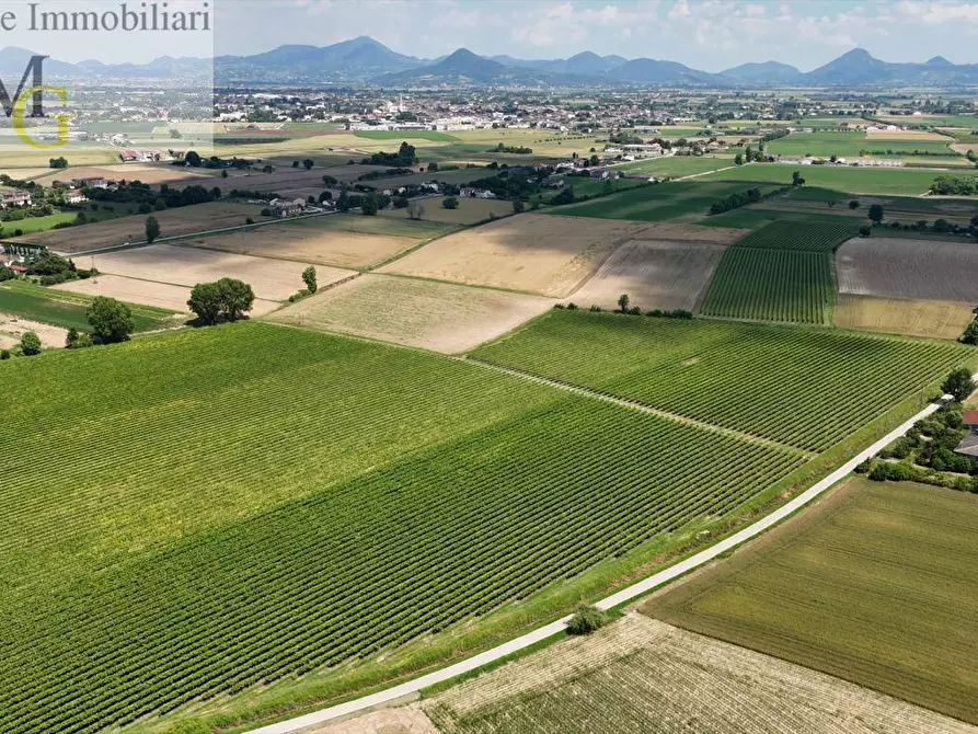 Immagine 5 di Terreno agricolo in vendita  a Poiana Maggiore