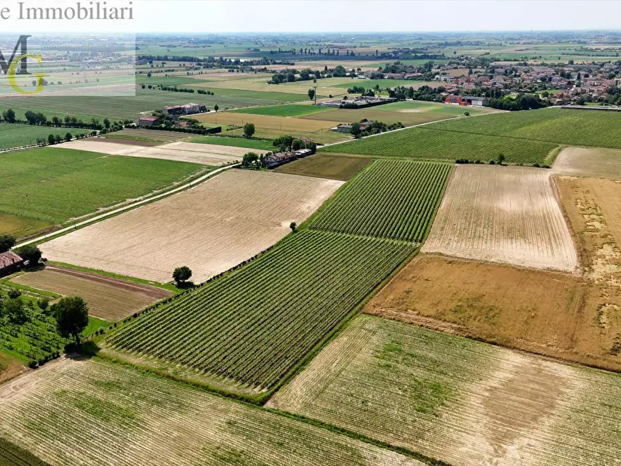 Immagine 6 di Terreno agricolo in vendita  a Poiana Maggiore