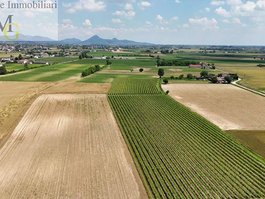 Immagine 7 di Terreno agricolo in vendita  a Poiana Maggiore