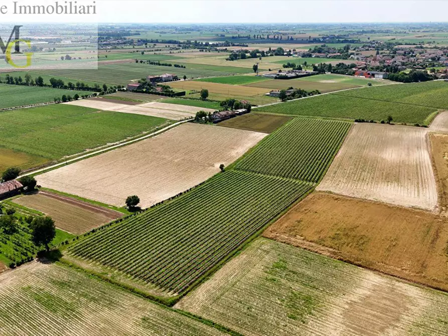 Immagine 9 di Terreno agricolo in vendita  a Poiana Maggiore