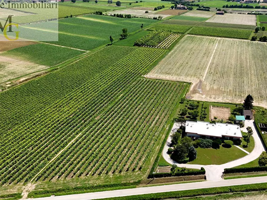 Immagine 1 di Terreno agricolo in vendita  a Poiana Maggiore