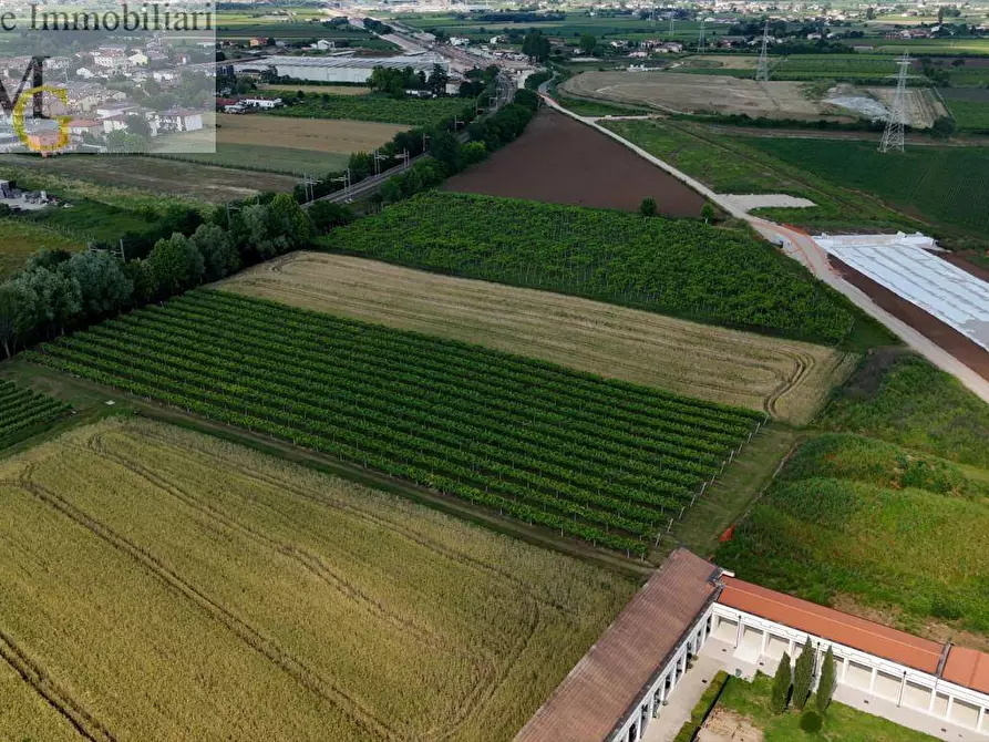 Immagine 1 di Terreno agricolo in vendita  a San Bonifacio