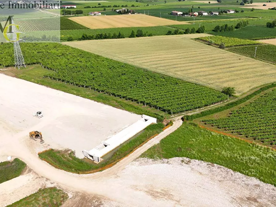 Immagine 4 di Terreno agricolo in vendita  a San Bonifacio