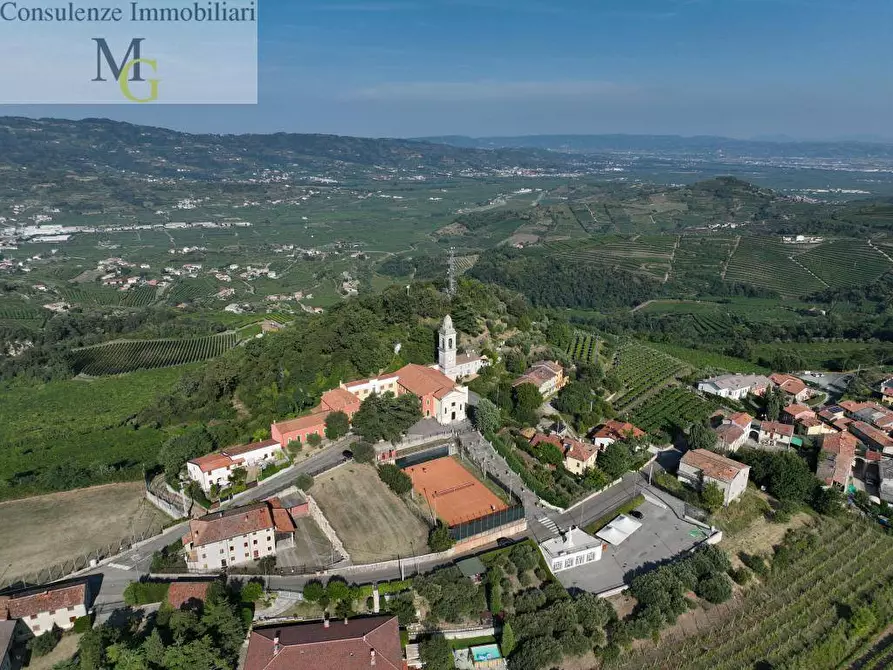 Immagine 1 di Terreno agricolo in vendita  a Soave