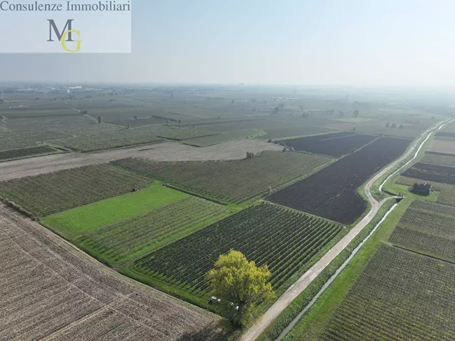 Immagine 5 di Terreno agricolo in vendita  a San Bonifacio