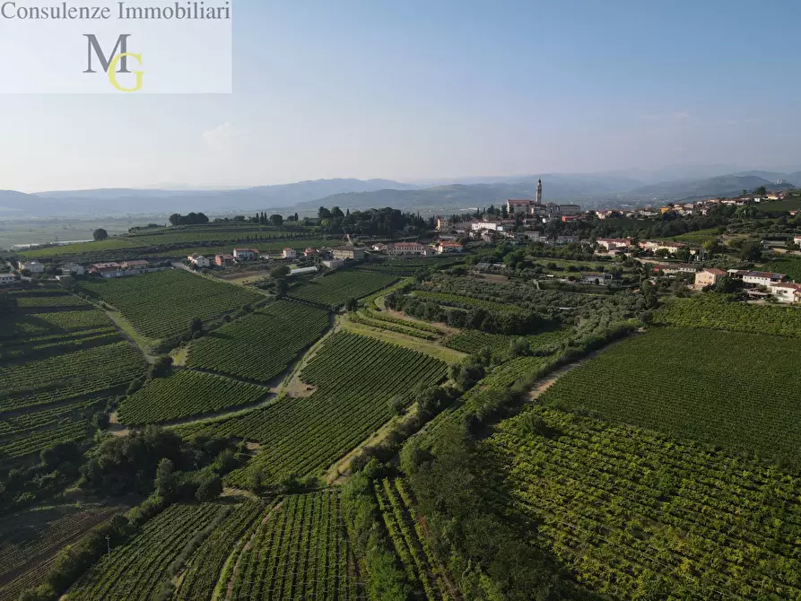 Immagine 9 di Terreno agricolo in vendita  a Colognola Ai Colli