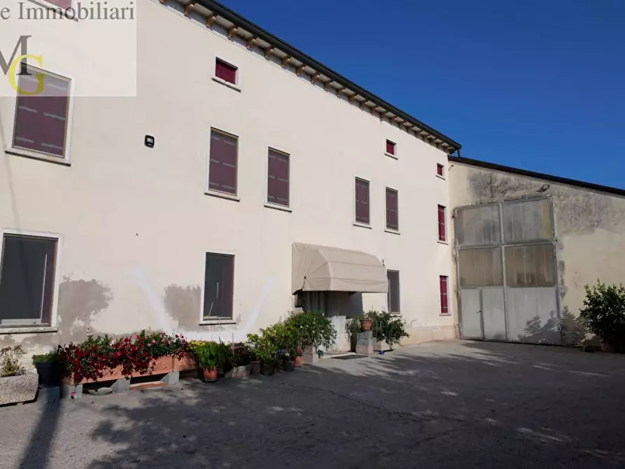 Immagine 4 di Terreno agricolo in vendita  a Albaredo D'adige