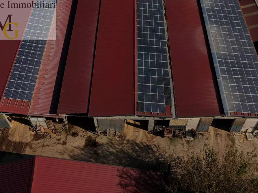 Immagine 14 di Terreno agricolo in vendita  a Albaredo D'adige