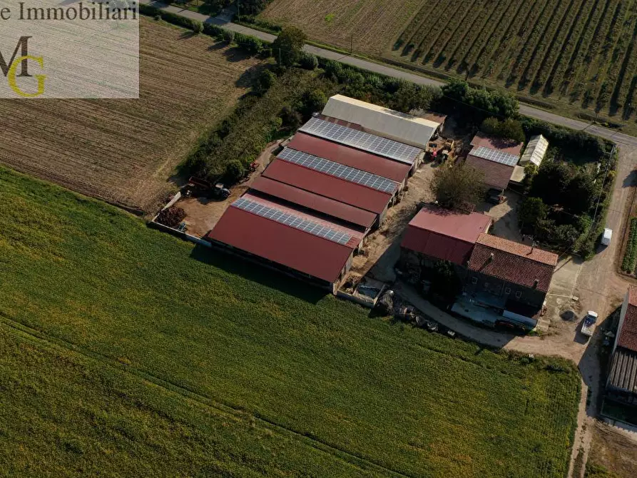 Immagine 3 di Terreno agricolo in vendita  a Albaredo D'adige