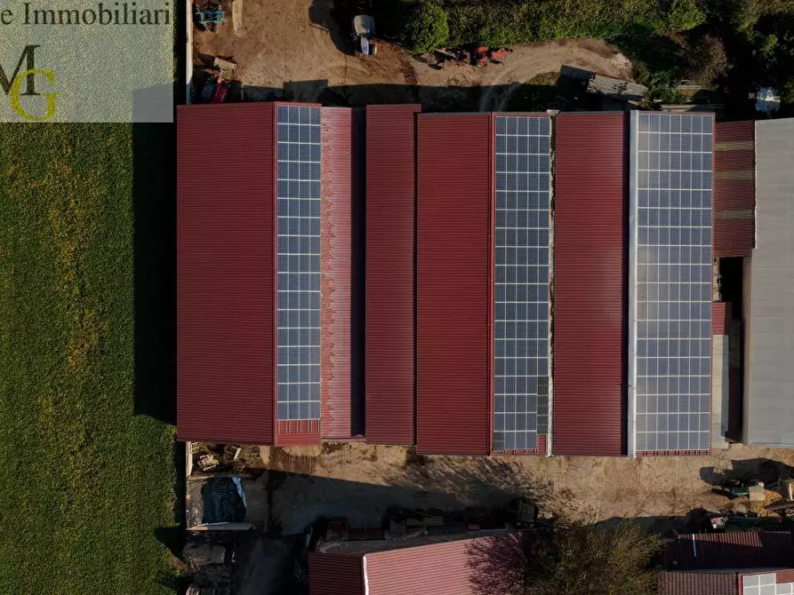 Immagine 13 di Terreno agricolo in vendita  a Albaredo D'adige