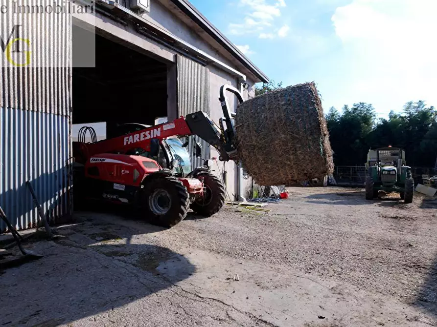 Immagine 7 di Terreno agricolo in vendita  a Albaredo D'adige