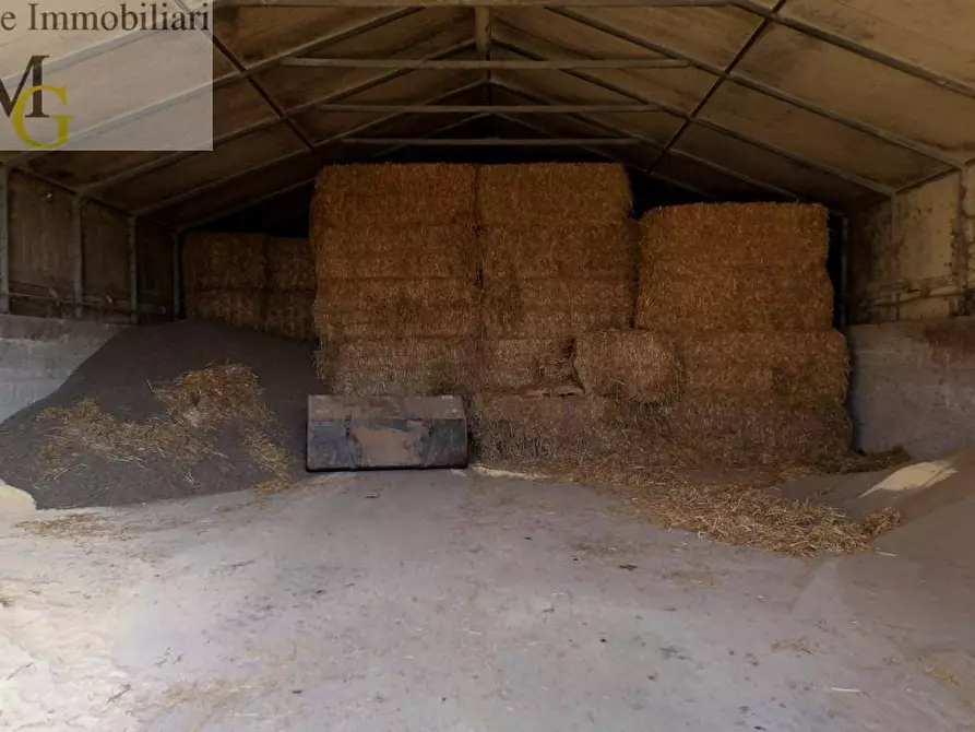Immagine 5 di Terreno agricolo in vendita  a Albaredo D'adige