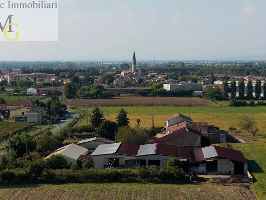 Immagine 2 di Terreno agricolo in vendita  a Albaredo D'adige