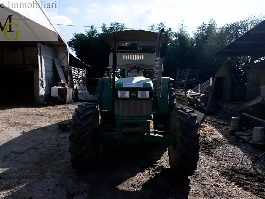 Immagine 8 di Terreno agricolo in vendita  a Albaredo D'adige