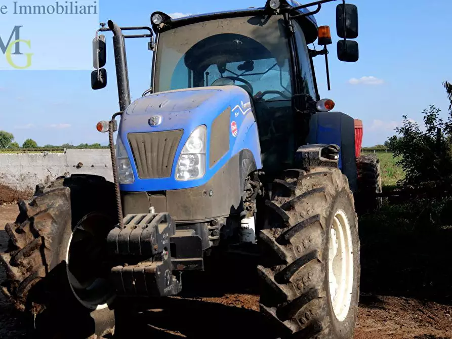 Immagine 9 di Terreno agricolo in vendita  a Albaredo D'adige