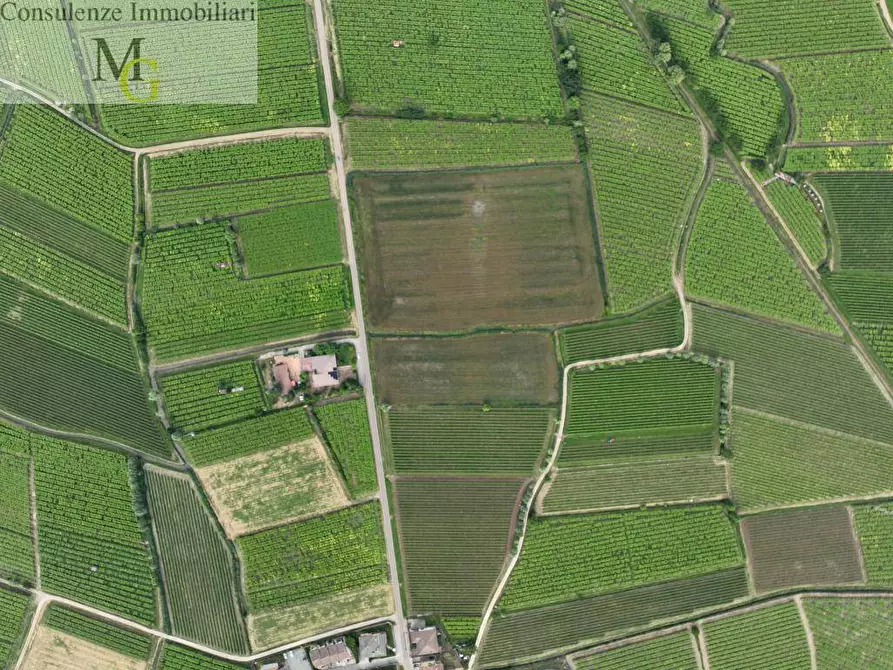 Immagine 4 di Terreno agricolo in vendita  a Monteforte D'alpone