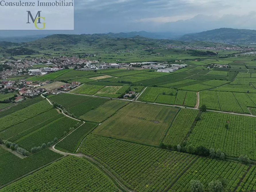Immagine 6 di Terreno agricolo in vendita  a Monteforte D'alpone