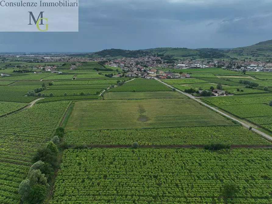 Immagine 2 di Terreno agricolo in vendita  a Monteforte D'alpone