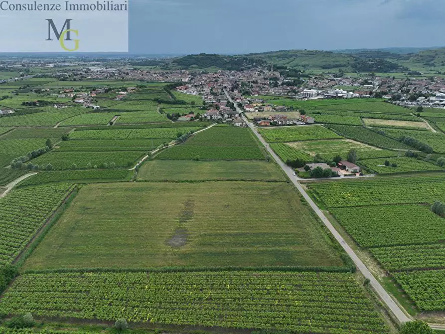 Immagine 3 di Terreno agricolo in vendita  a Monteforte D'alpone