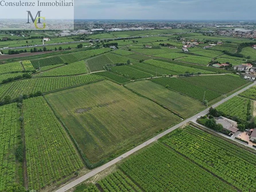 Immagine 7 di Terreno agricolo in vendita  a Monteforte D'alpone