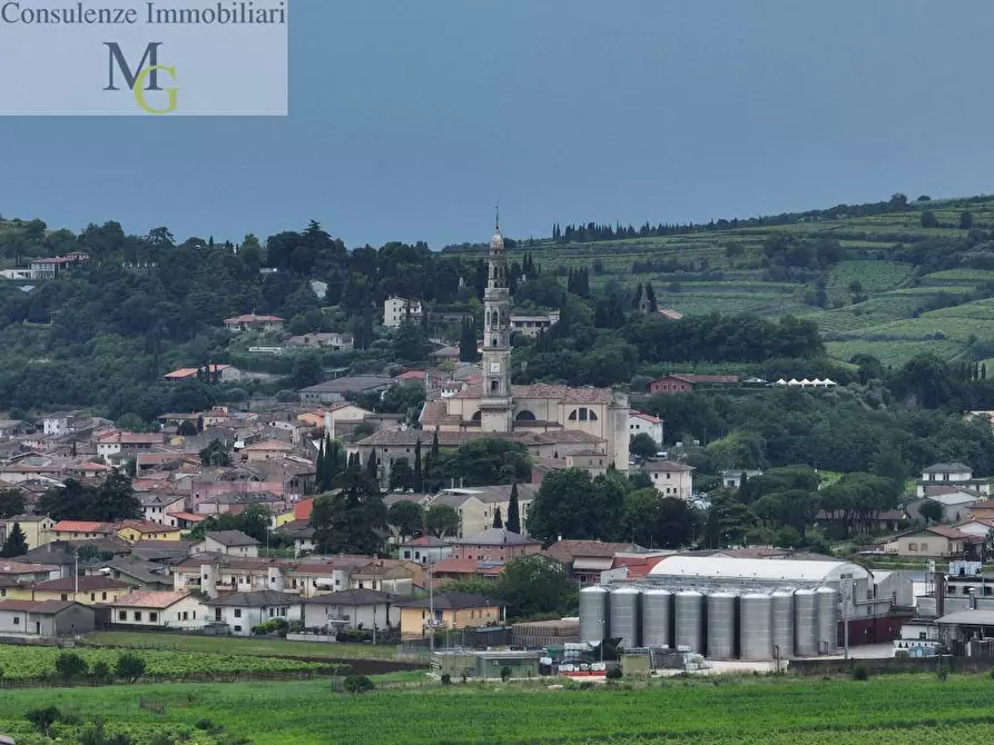 Immagine 5 di Terreno agricolo in vendita  a Monteforte D'alpone