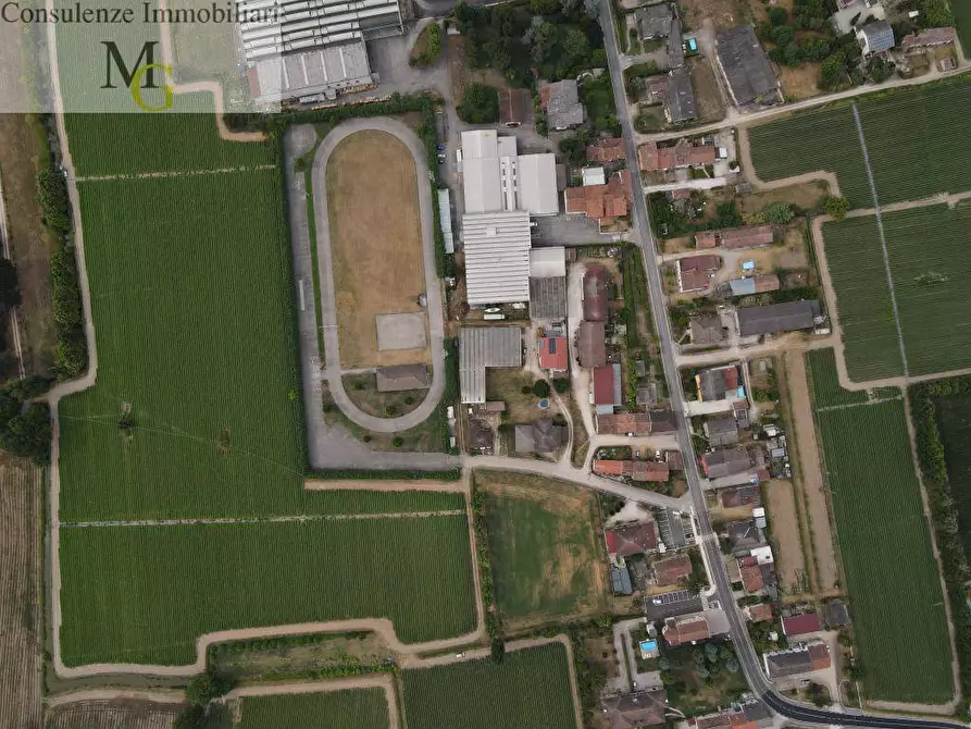 Immagine 26 di Bar / Ristorante in vendita  a Montagnana